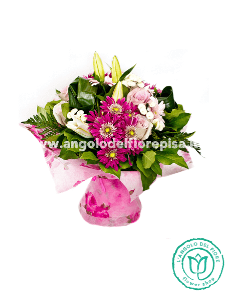 SORRISO ROSA